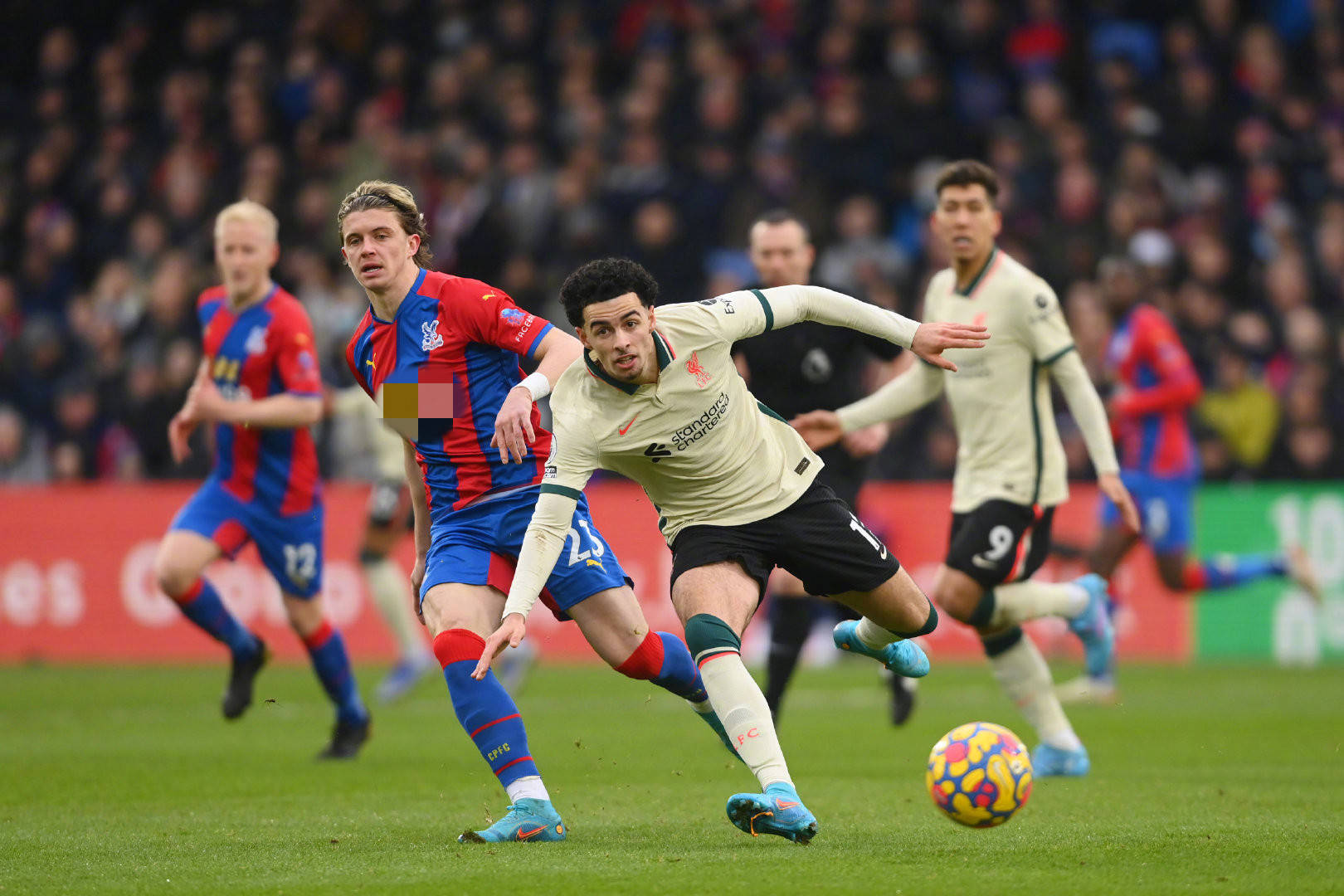 球迷對國足 球迷對國足