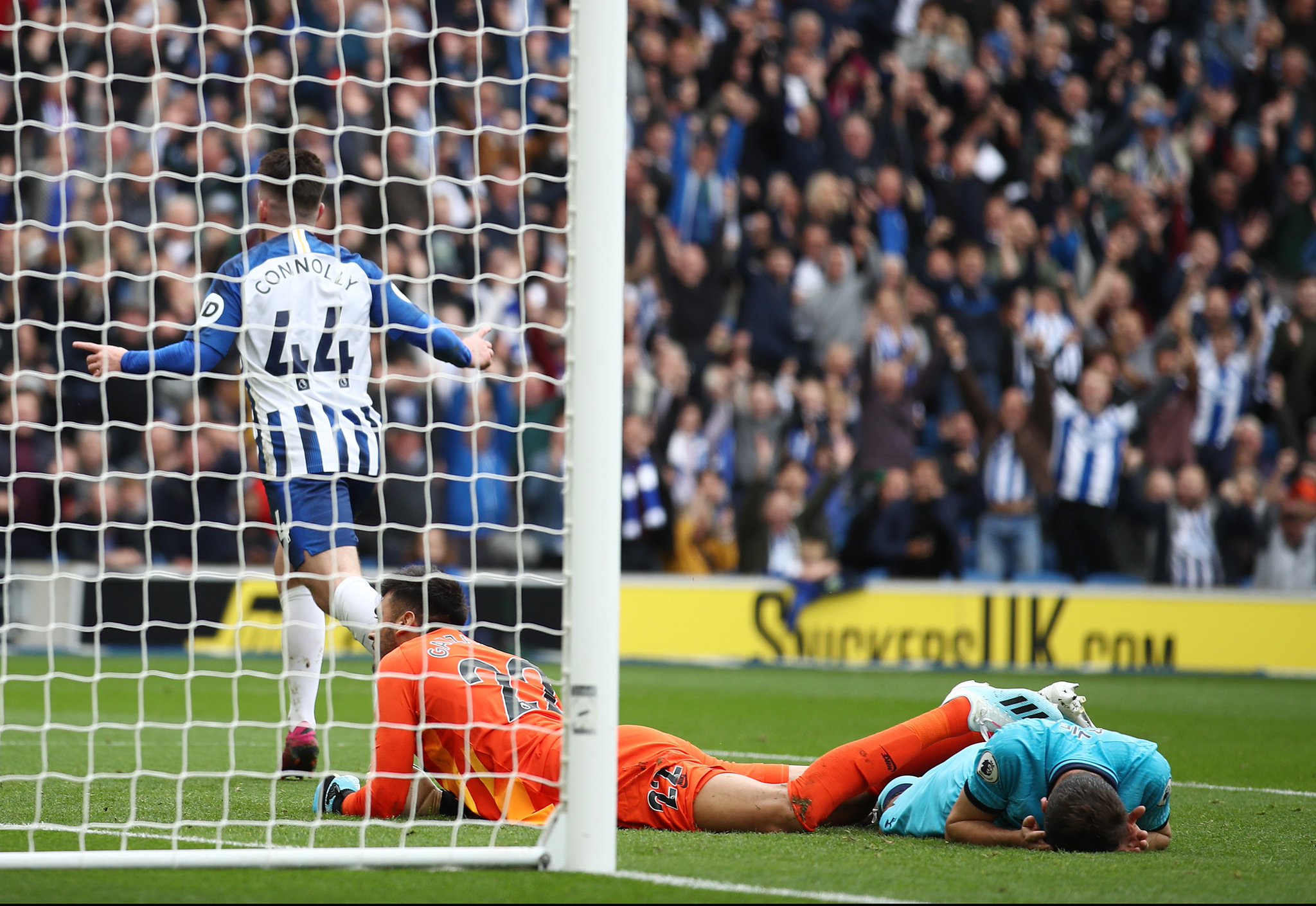 了更多关注 了更多关注